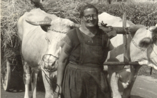 Életkép