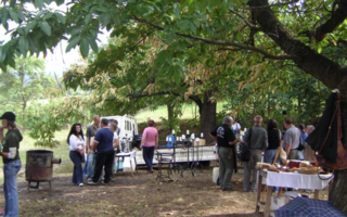 Börzöncei hegyi fesztivál 2007