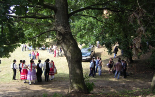 Börzöncei hegyi fesztivál 2007