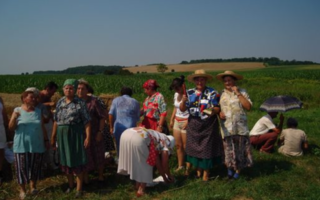 Aratóünnep 2006
