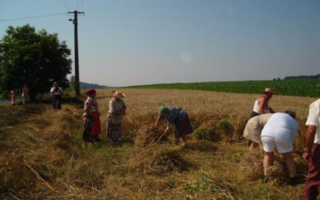 Aratóünnep 2006