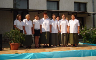Falunap 2006